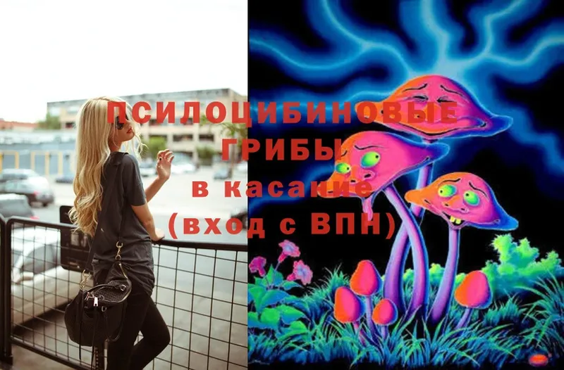 Галлюциногенные грибы Cubensis Вязники